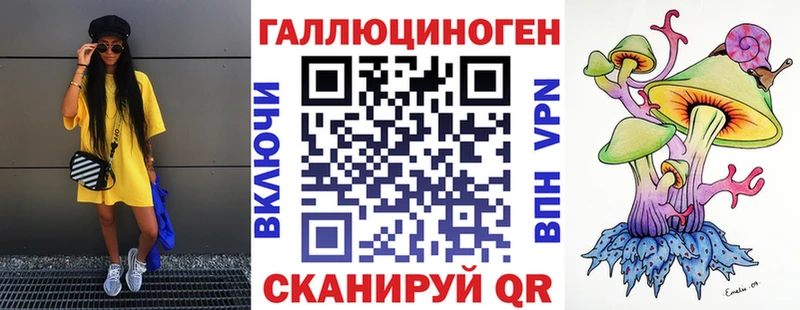 где купить наркоту Хадыженск Псилоцибиновые грибы мицелий